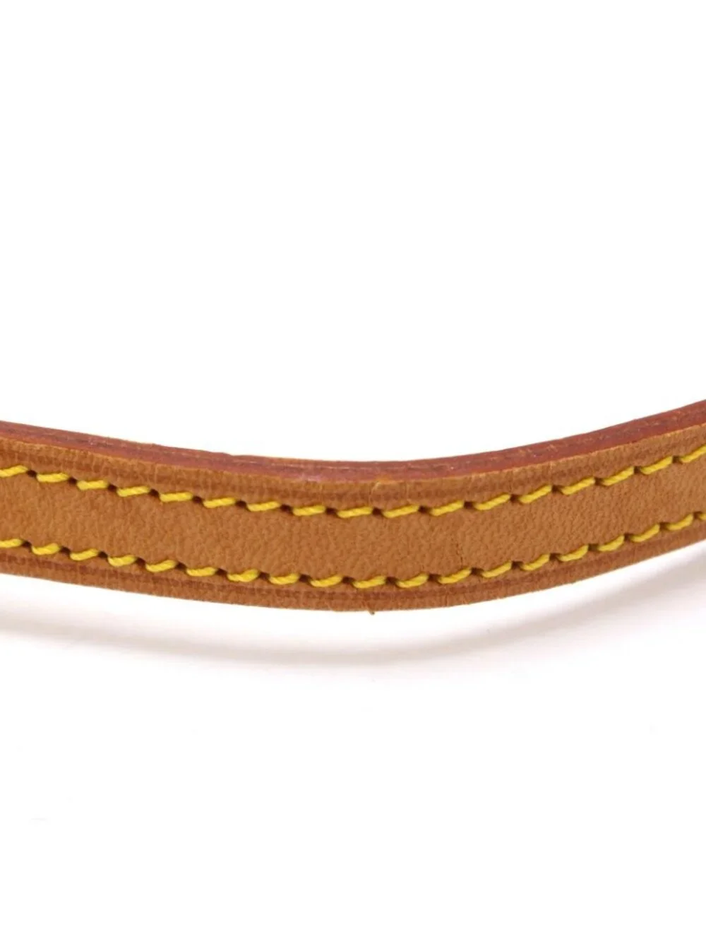 Louis Vuitton brand louis